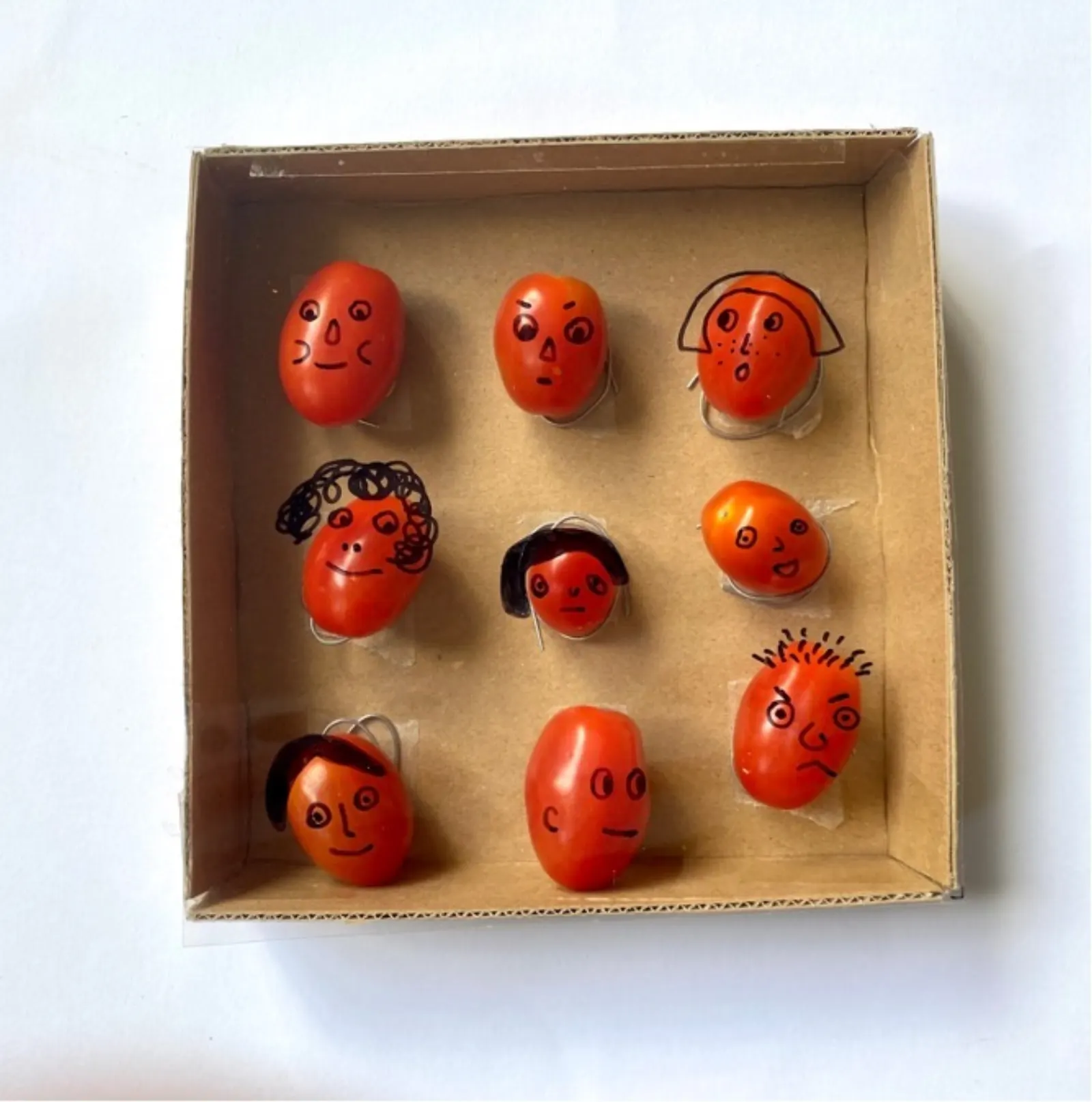 Little Tomatoes Package