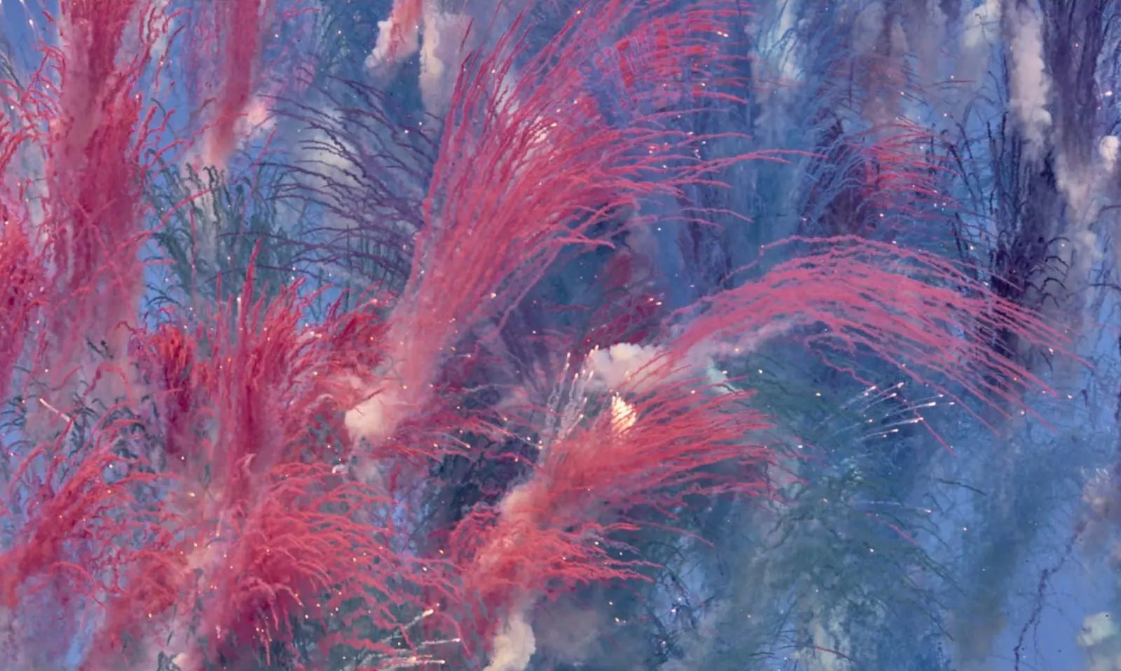 The Firework